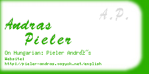 andras pieler business card
